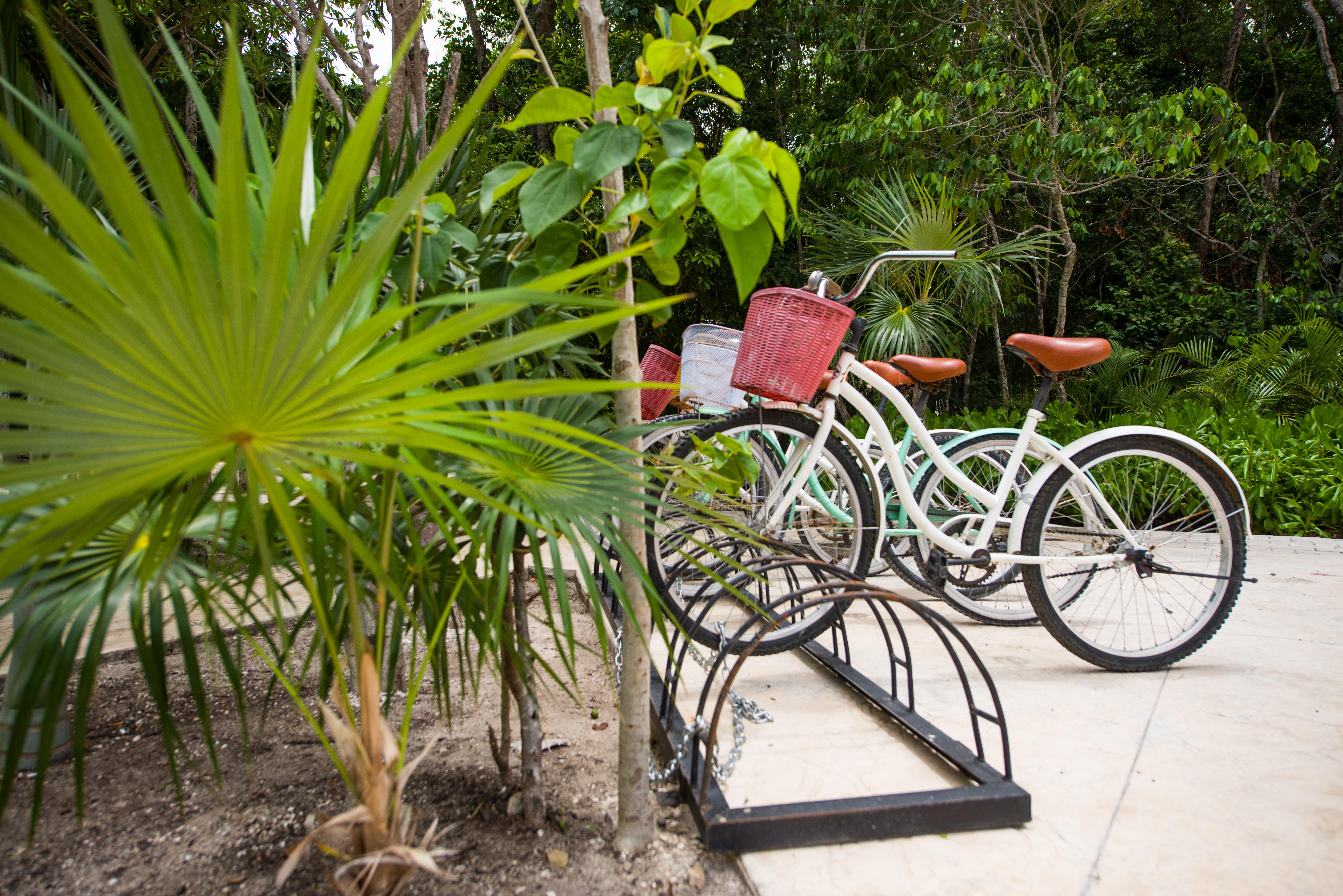 Naay Tulum Curamoria Collection Bagian luar foto